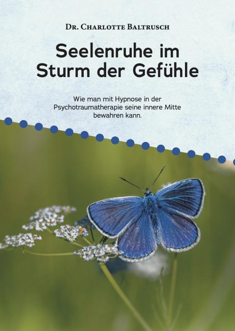Buchcover: Seelenruhe im  Sturm der Gefühle